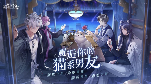 猫之宿约者 官网版 v3.0.5