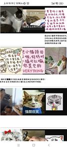 小猫表情包合集  v1.0