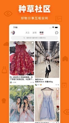 多糖二次元.jpg