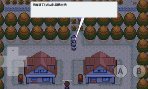 口袋妖怪心金完善版1.1金手指最新版  v4.4.1