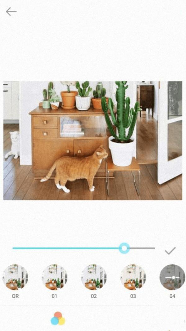 天天美图相机 1.1
