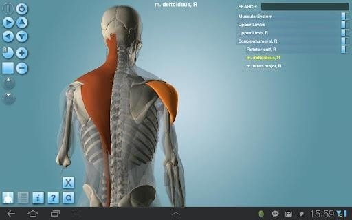 Anatomy 3D 版本:v1.47