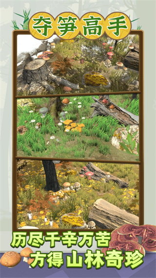 夺笋高手 最新版2023 v3.0.5