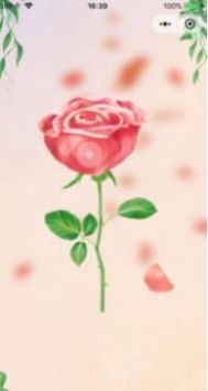 花瓣告诉我 v3.0.5
