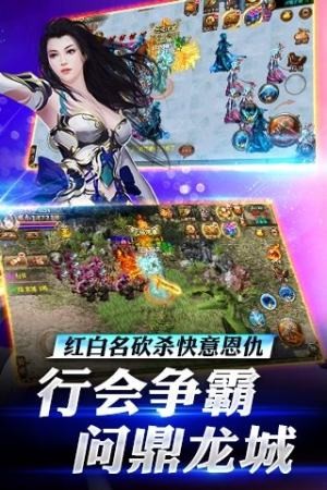 荣耀之戒传奇截图1