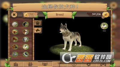 宠物犬模拟3D