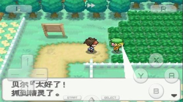 口袋妖怪白2汉化版