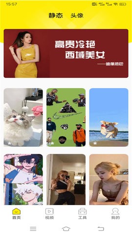 白狐壁纸视频  v1.0.2