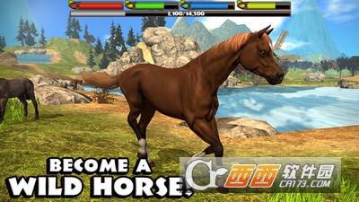 野马模拟游戏 v1.0 安卓版