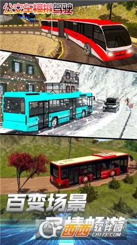 公交车模拟驾驶 v1.0 安卓版
