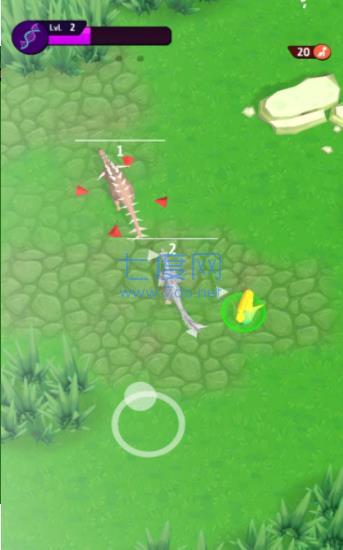 动物进化挑战 v1.0