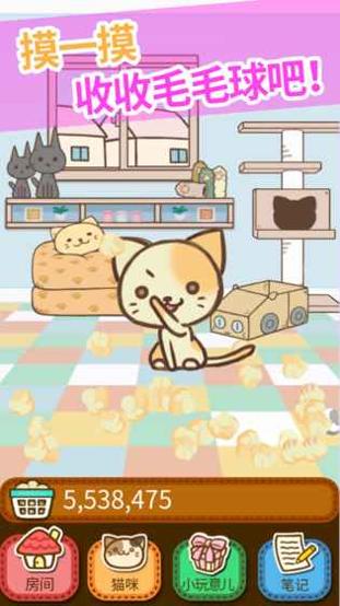 猫咪的毛 v3.0.5