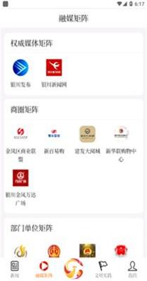 云上金凤.png