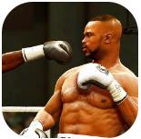 拳击对抗；格斗锦标赛