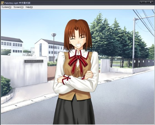 fate命运之夜汉化手机版下载 v4.0