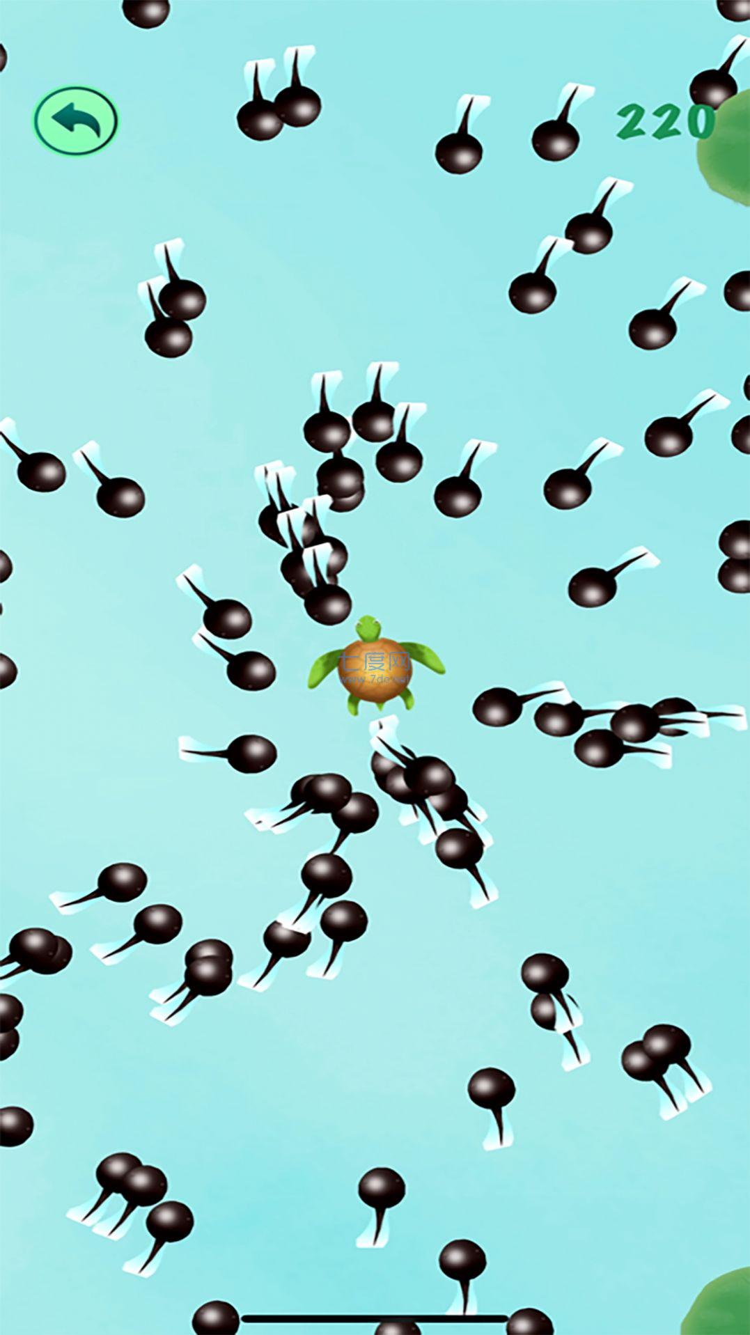 这才是神龙进化游戏