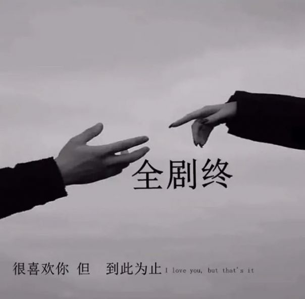 抖音全剧终很喜欢你但到此为止背景图片壁纸 v1.0