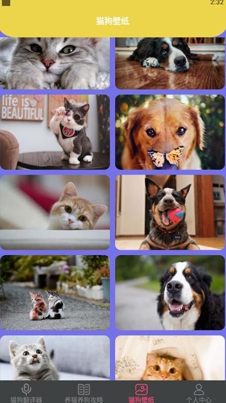 狗生模拟交流器.jpg 狗生模拟交流器.jpg