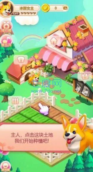 天天爱种地