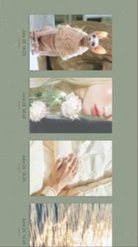 chiccam v3.0.5