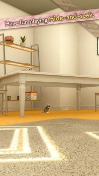 和我的猫在一起截图1