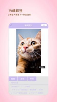 全能美日相机  v1.2