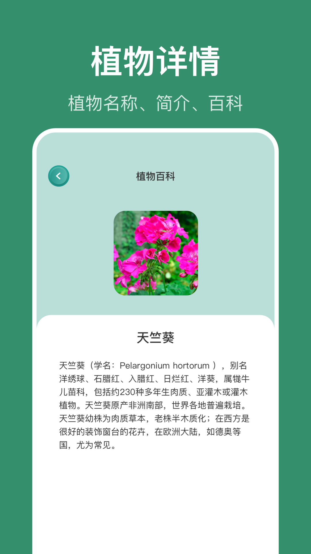 花仙识花草截图0
