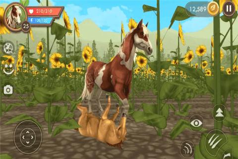 饿狼来了 免广告版 v3.0.5