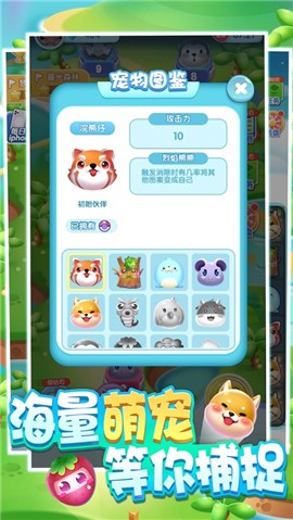 一起来捉宠游戏 V 1.0