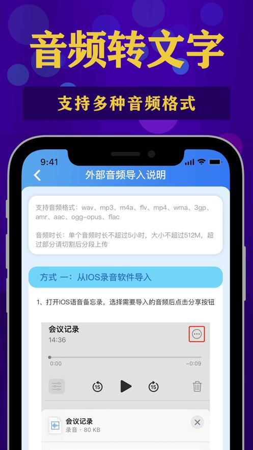 狸猫语音转文字  V 1.0