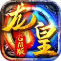龙皇gm版官方手游下载 