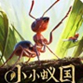 小小蚁国安卓版