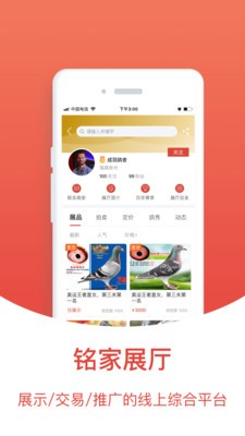 赛鸽头条  v2.2.0.1