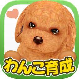 掌心小狗