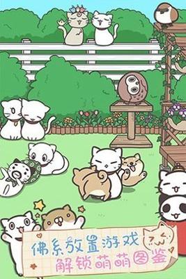 猫咪饲养日常 v1.3.1