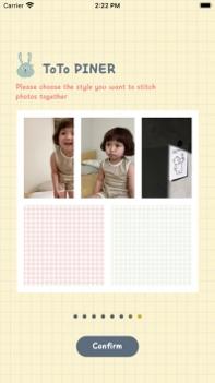 ToTo PINER v3.0.5