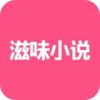 滋味小说