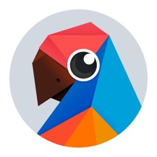 有道翻译官ios版