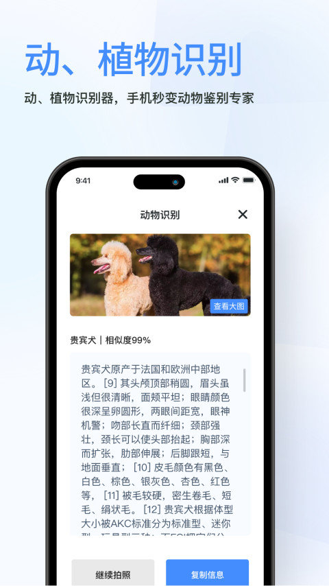 春枫扫描 v1.0.0