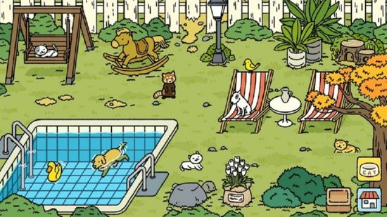 小可爱的家 小可爱的家