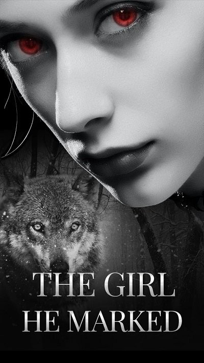 storysome小说阅读APP最新版  v3.3.4