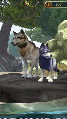 狼群传说 v200166