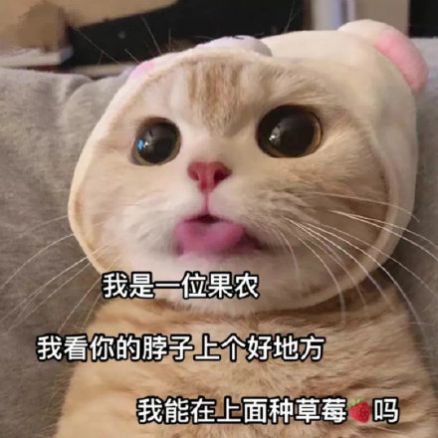 来和我种草莓表情包 v1.0