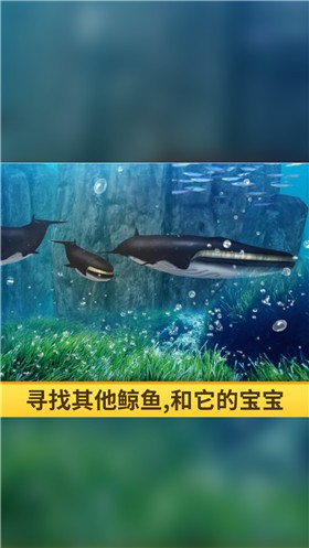 海洋3d蓝鲸模拟  v1.0.0