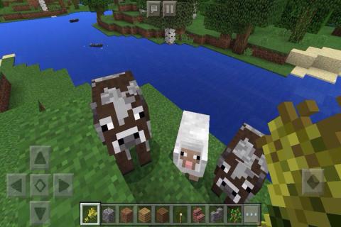 我的世界 1.13.0.18版 v3.1.0