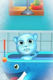 我的会说话的猫Tommy  v1.11.40