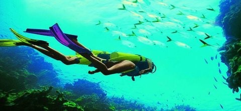 深海潜水模拟  v1.0.2