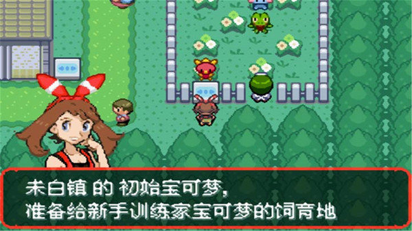 新究极绿宝石4图文攻略汉化最新版图片2