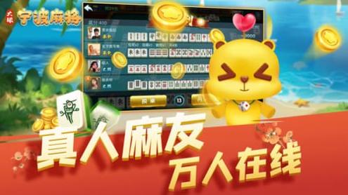 大眼宁波麻将 v1.0