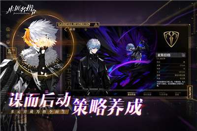 非匿名指令 v1.1